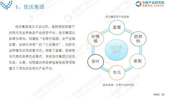 2019年現(xiàn)代農(nóng)業(yè)市場(chǎng)調(diào)研及前景研究報(bào)告（簡(jiǎn)版）